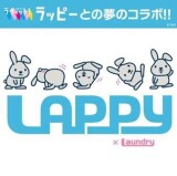 夢のコラボ 『laundry✖️ラヴィットラッピー』