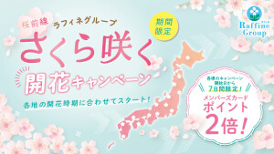 桜前線🌸さくら咲く開花キャンペーン